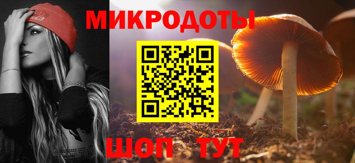 Псилоцибиновые грибы GOLDEN TEACHER  Вход с VPN  Киселёвск 