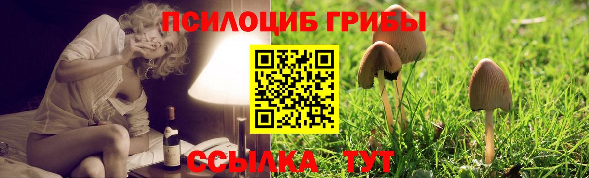 Псилоцибиновые грибы Magic Shrooms Киселёвск